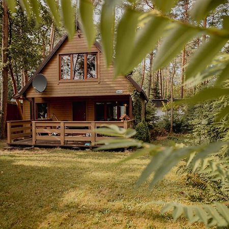 Domek Ptasie Radio Оструда Экстерьер фото